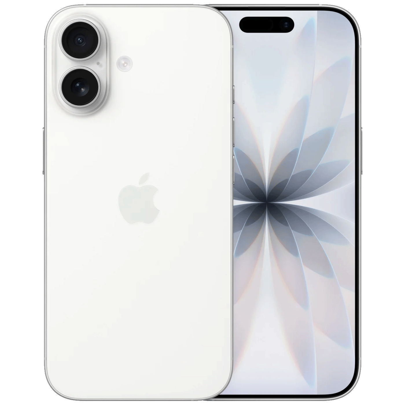 68e5d9bab7ac11a310e9e316